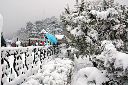 HIMACHAL (SIMLA, KULU, MANALI)